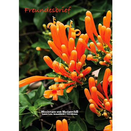 Freundesbrief 01-2023