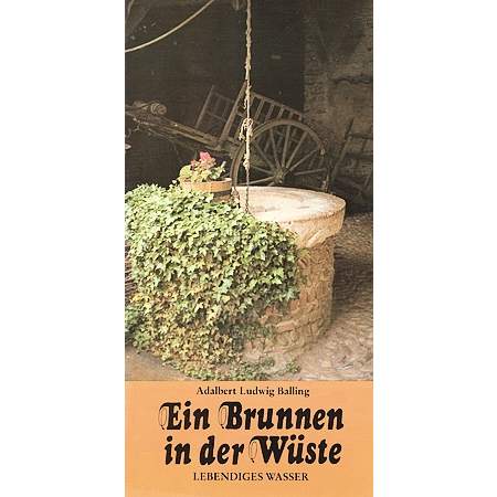 Ein Brunnen in der Wüste