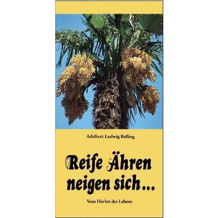 Reife Ähren neigen sich