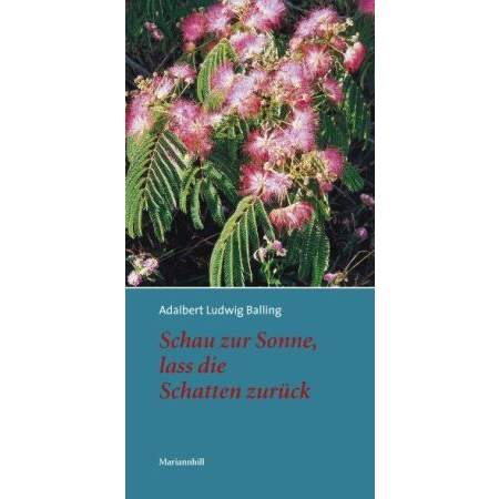 Schau zur Sonne, lass die Schatten zurück