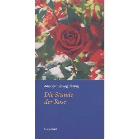 Die Stunde der Rose