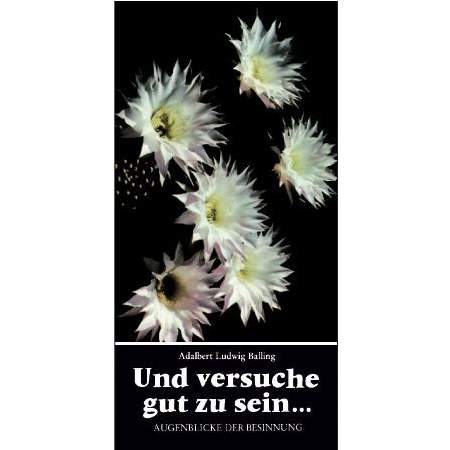 Und versuche gut zu sein ...